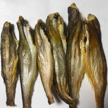 成都龍魚市場