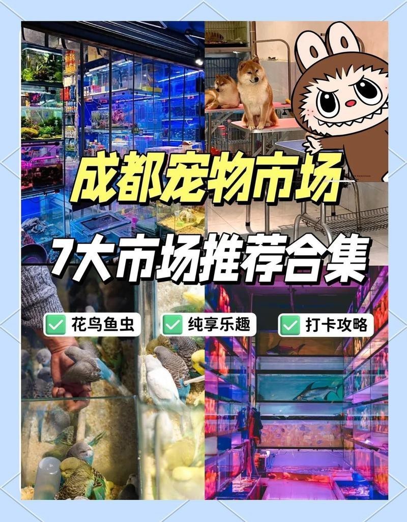 成都龍魚市場