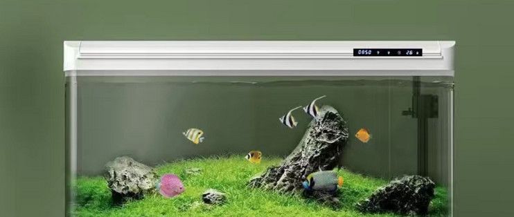 魚缸十大排名：市面上最受歡迎的十款魚缸排名