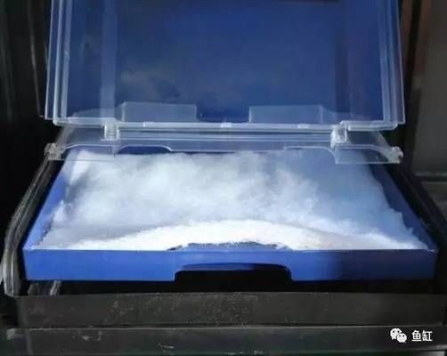 起源紀魚缸過濾改造：起源紀魚缸智能改造 起源紀魚缸過濾改造：起源紀魚缸智能改造 魚缸百科 第1張