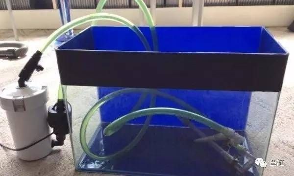 起源紀魚缸過濾改造：起源紀魚缸智能改造 起源紀魚缸過濾改造：起源紀魚缸智能改造 魚缸百科 第3張