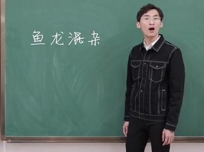 魚龍是什么動物進化而來的：“魚龍混雜”是什么意思？ 魚龍是什么動物進化而來的：“魚龍混雜”是什么意思？ 龍魚百科
