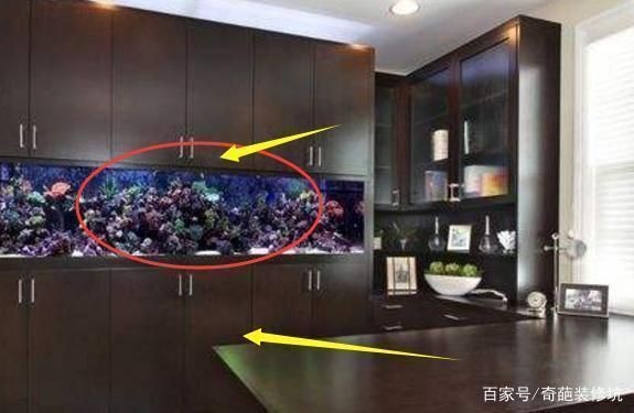 魚缸擺放提升學業運：魚缸擺放位置和形狀被認為對個人的運勢有影響