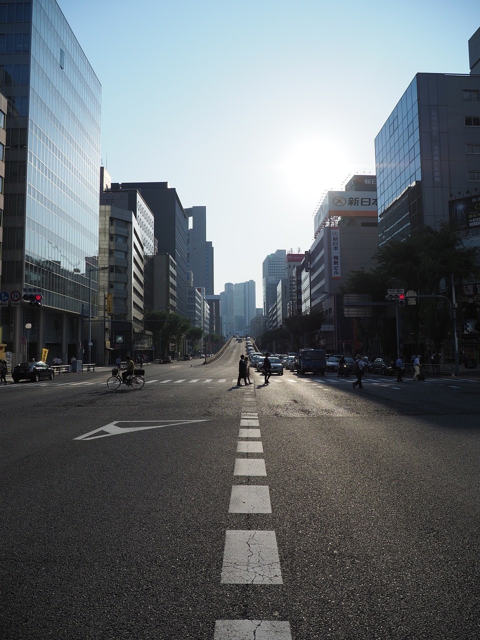 <strong><mark>佛山</mark></strong>市禪城區(qū)旺雅水族精品店