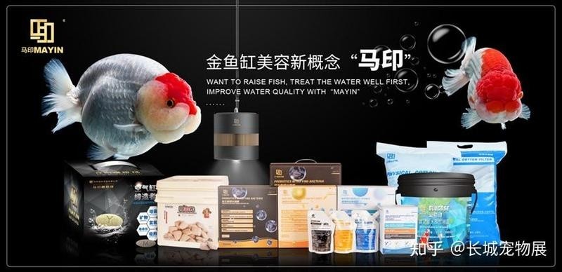 長城杯觀賞魚比賽獲獎名單 長城杯觀賞魚比賽獲獎名單 2025長城杯龍魚大賽 第2張