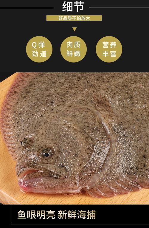 多寶魚長啥樣圖片