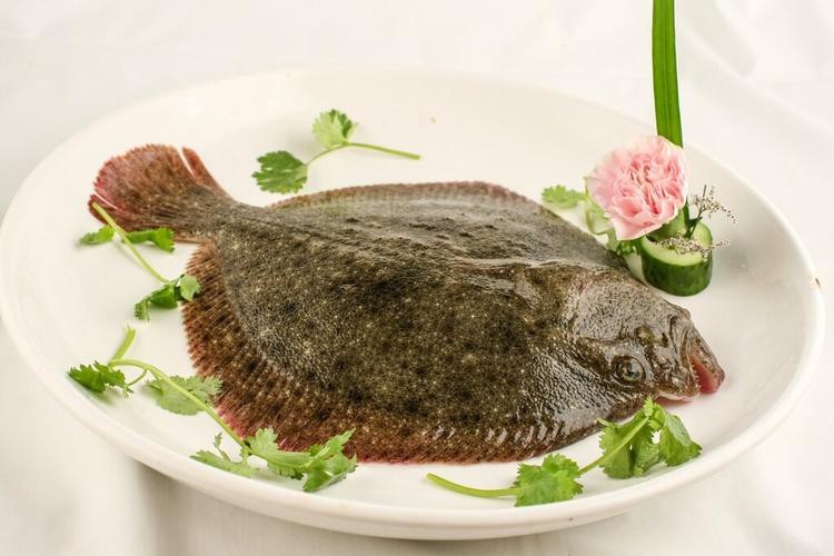 多寶魚長啥樣圖片