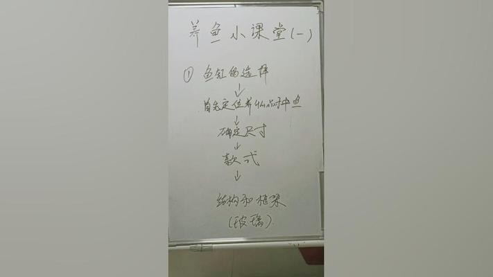 沈陽(yáng)市和平區(qū)誰(shuí)魚(yú)爭(zhēng)鋒觀賞魚(yú)店 沈陽(yáng)市和平區(qū)誰(shuí)魚(yú)爭(zhēng)鋒觀賞魚(yú)店 全國(guó)水族館企業(yè)名錄