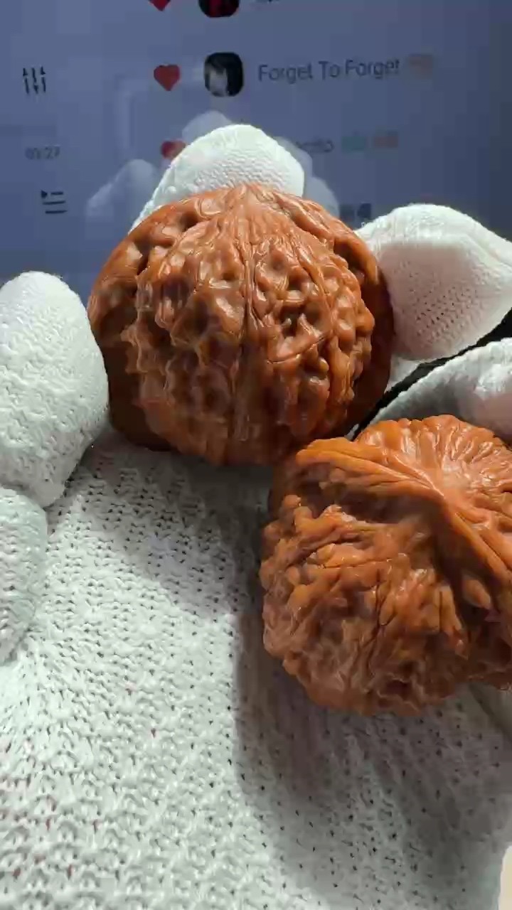 15天羅家溝獅子頭的效果