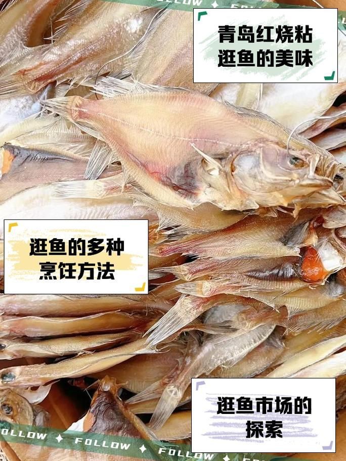 逛魚圖片大全 龍魚論壇 第3張 逛魚圖片大全 逛魚圖片大全 龍魚論壇 第3張