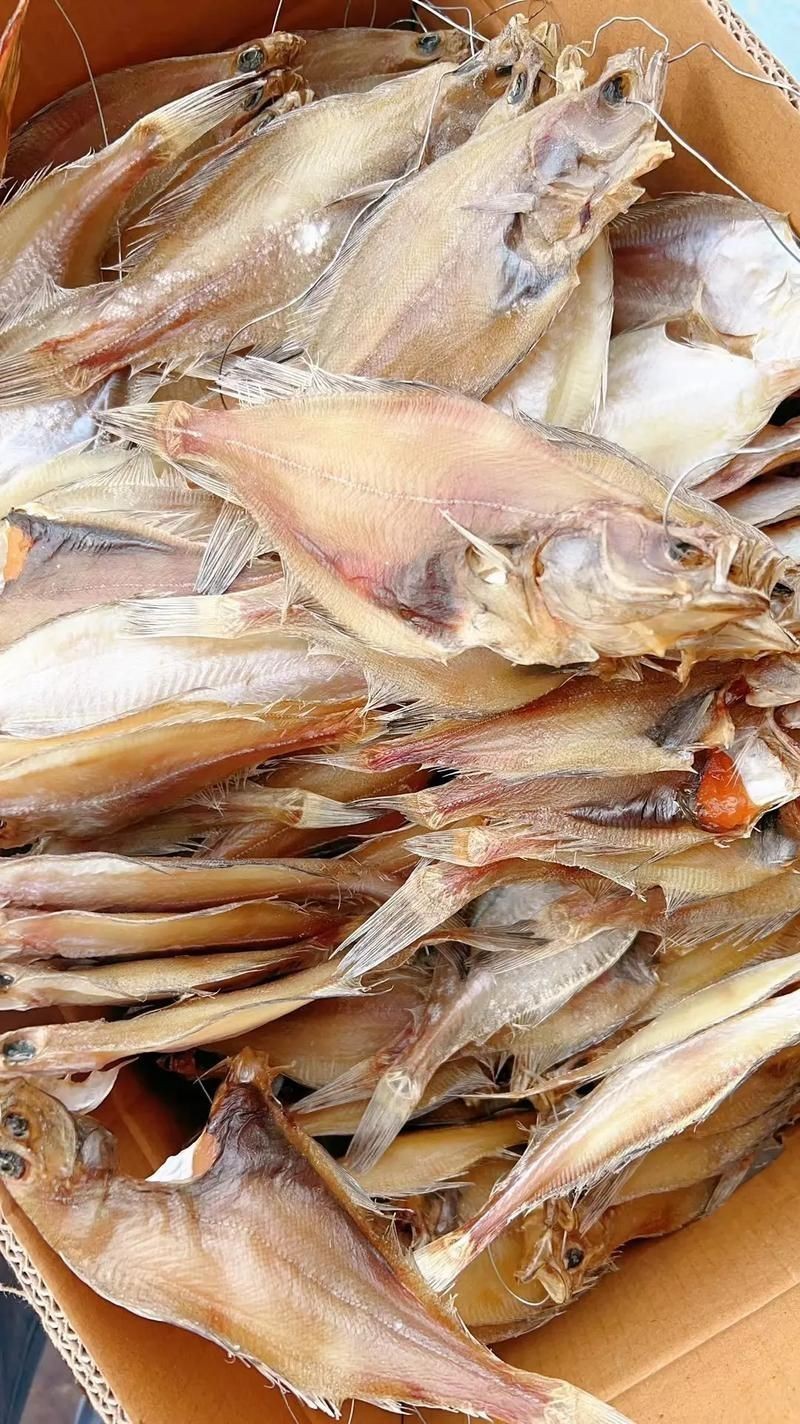 逛魚圖片大全 龍魚論壇 第9張 逛魚圖片大全 逛魚圖片大全 龍魚論壇 第9張