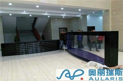 固安魚缸定制廠家（固安魚缸定制廠家生產流程） 固安魚缸定制廠家（固安魚缸定制廠家生產流程） 魚缸百科 第3張