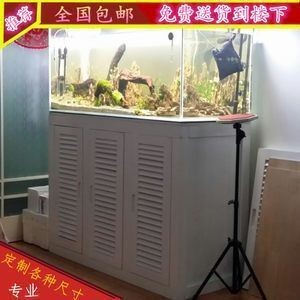 混養(yǎng)魚缸空間布局建議：混養(yǎng)魚缸設(shè)計(jì)建議