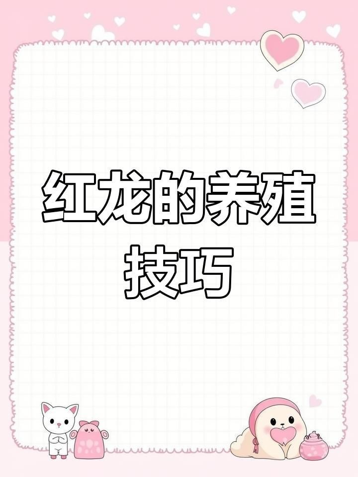 紅龍魚養(yǎng)什么品種最好