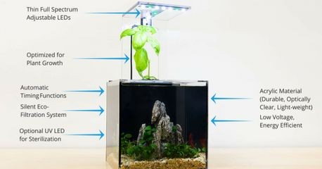 如何調(diào)節(jié)魚缸內(nèi)的光照周期：如何調(diào)節(jié)魚缸內(nèi)的光照周期以優(yōu)化其生態(tài)環(huán)境