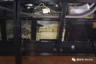 底濾魚缸濾材擺放圖二格（底濾魚缸濾材擺放圖二格的詳細步驟和注意事項和注意事項）