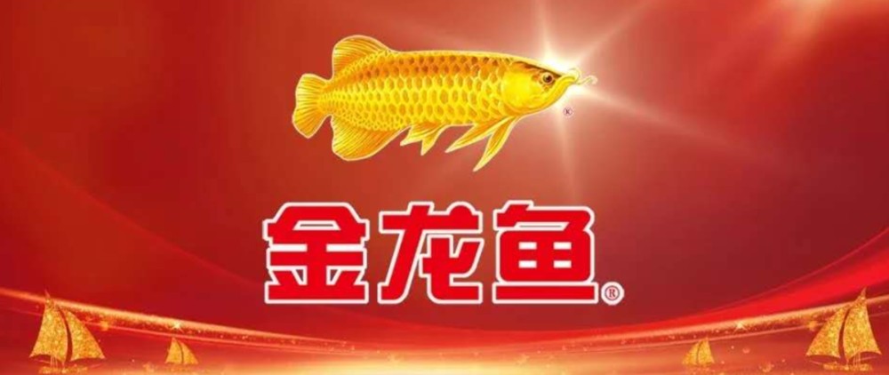 永州市零陵區創意水族（永州市零陵區創意水族館地址） 永州市零陵區創意水族（永州市零陵區創意水族館地址） 全國水族館企業名錄