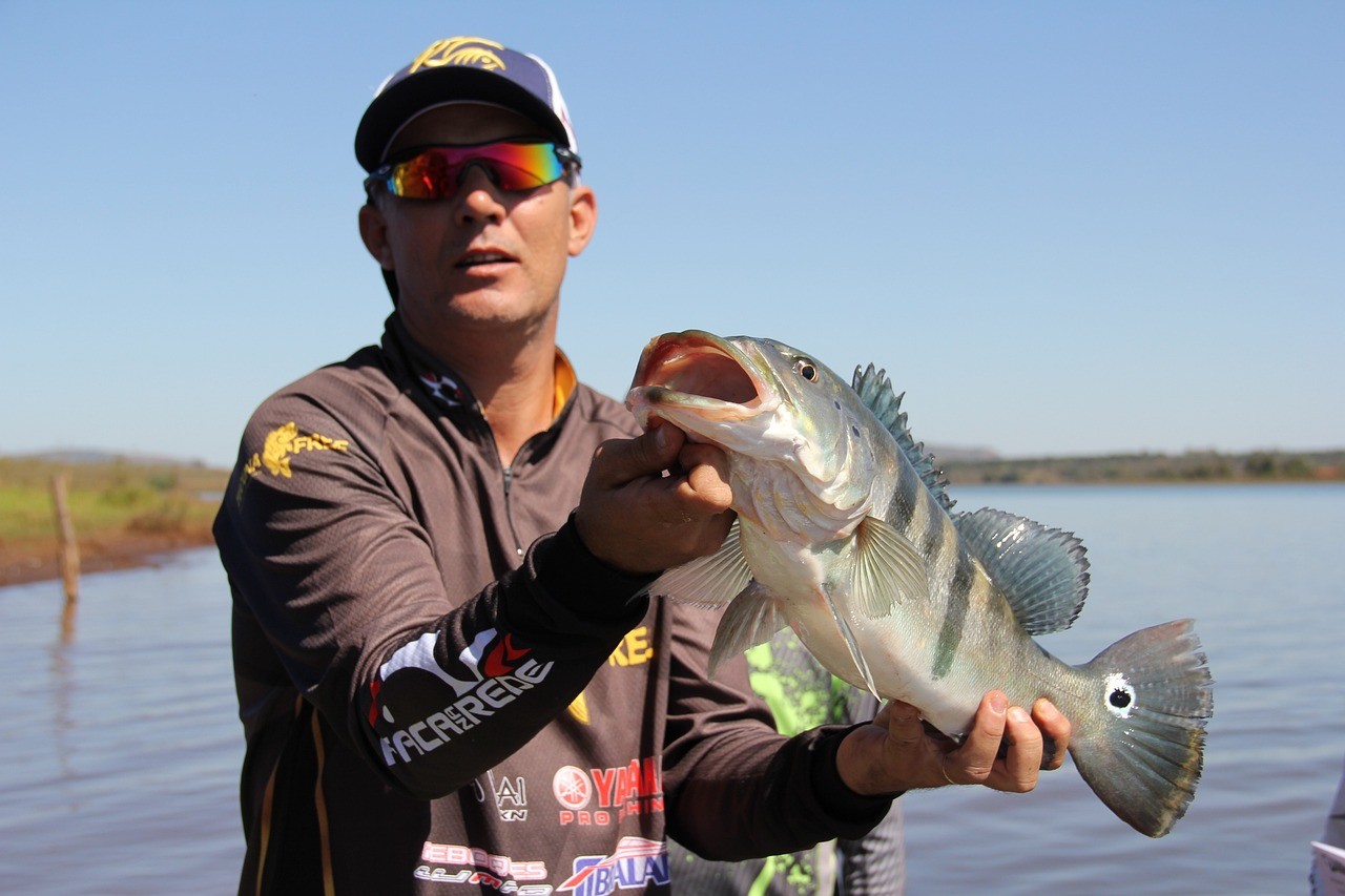 成年銀龍魚多少錢一條（銀龍魚一斤以上的多少錢）