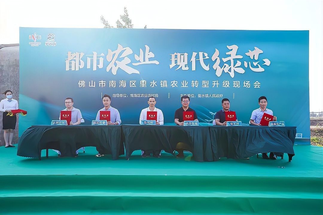 我的寵物