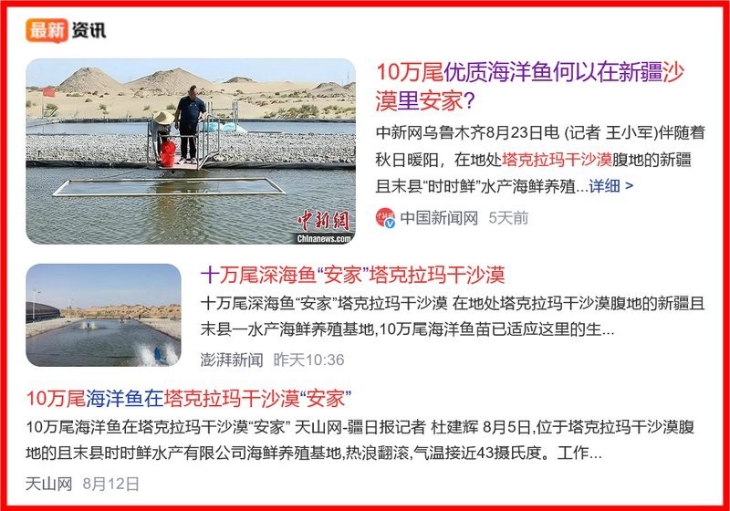 我的寵物