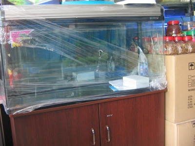 博宇魚缸設計實用且外觀時尚新穎：博宇魚缸養護秘籍擁有一款美觀實用的魚缸養護秘籍