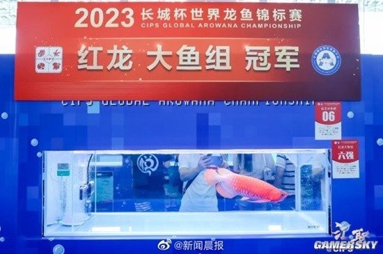 長城杯龍魚比賽有哪些歷史冠軍？