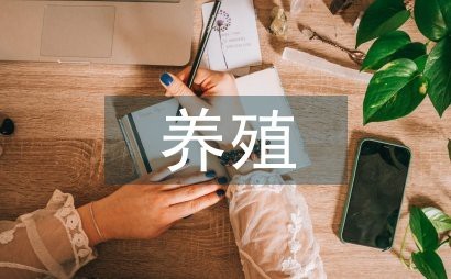 金龍魚繁殖期有哪些注意事項？
