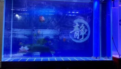 魚缸魔法棒有什么作用：魚缸魔法棒有什么作用詳情