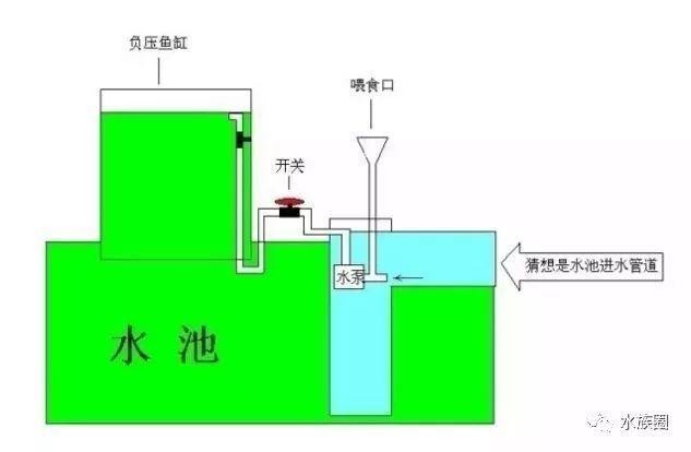 歷城沁錦軒水族花卉經(jīng)營(yíng)部（歷城沁錦軒水族花卉經(jīng)營(yíng)部地址）