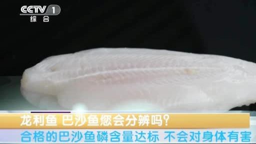 龍利魚和巴沙魚的價格差異大嗎？ 龍利魚和巴沙魚的價格差異大嗎？ 龍魚論壇 第10張