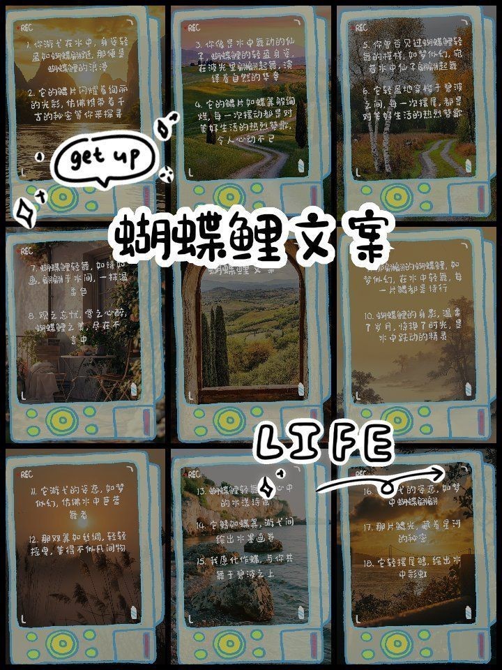 蝴蝶鯉文案最火一句話