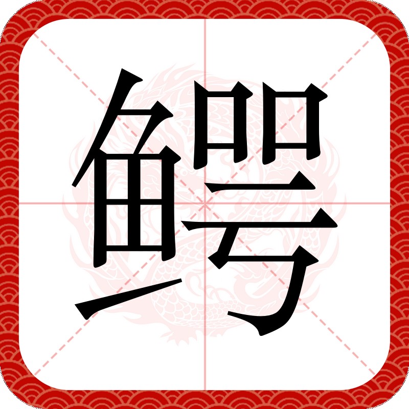 鱷魚怎么讀 鱷魚怎么讀 龍魚論壇 第1張