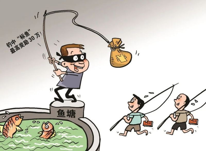 釣魚比賽中的“幸運魚”獎金是什么