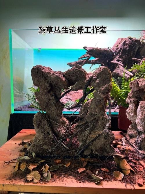 龍魚缸寬40 龍魚缸寬40 龍魚百科 第6張