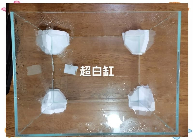 龍魚缸寬40 龍魚缸寬40 龍魚百科 第8張