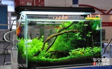 乳源瑤族自治縣向日葵水族館（乳源瑤族自治縣向日葵水族館電話）