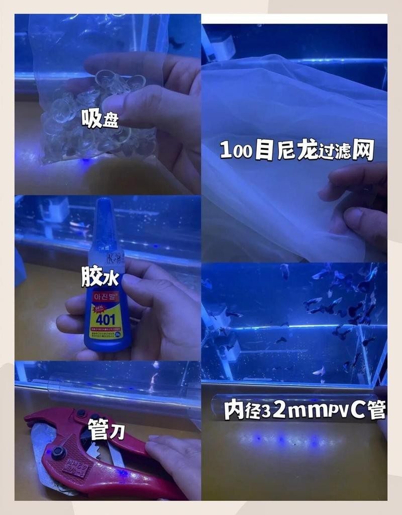如何設置觀賞蝦的喂食器？