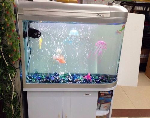 廣州購買魚缸的幾個地方：廣州水族市場發展歷史