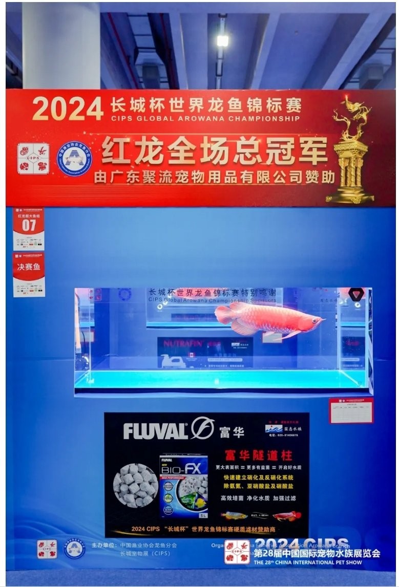 2024長城杯世界龍虎魟錦標(biāo)賽的冠軍是誰？ 2024長城杯世界龍虎魟錦標(biāo)賽的冠軍是誰？ 2025長城杯龍魚大賽 第2張