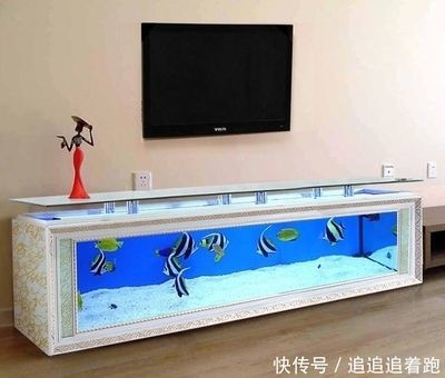 電視改魚(yú)缸的設(shè)計(jì)靈感：電視改魚(yú)缸是一種創(chuàng)意的舊物改造方式
