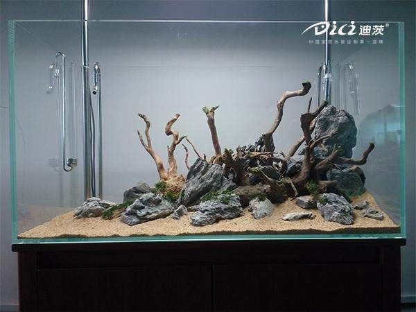 水草魚缸造景教程（水草魚缸造景教程，輕松打造出美麗的水草魚缸）