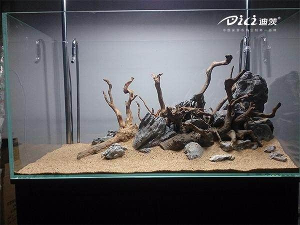 水草魚缸造景教程（水草魚缸造景教程，輕松打造出美麗的水草魚缸）