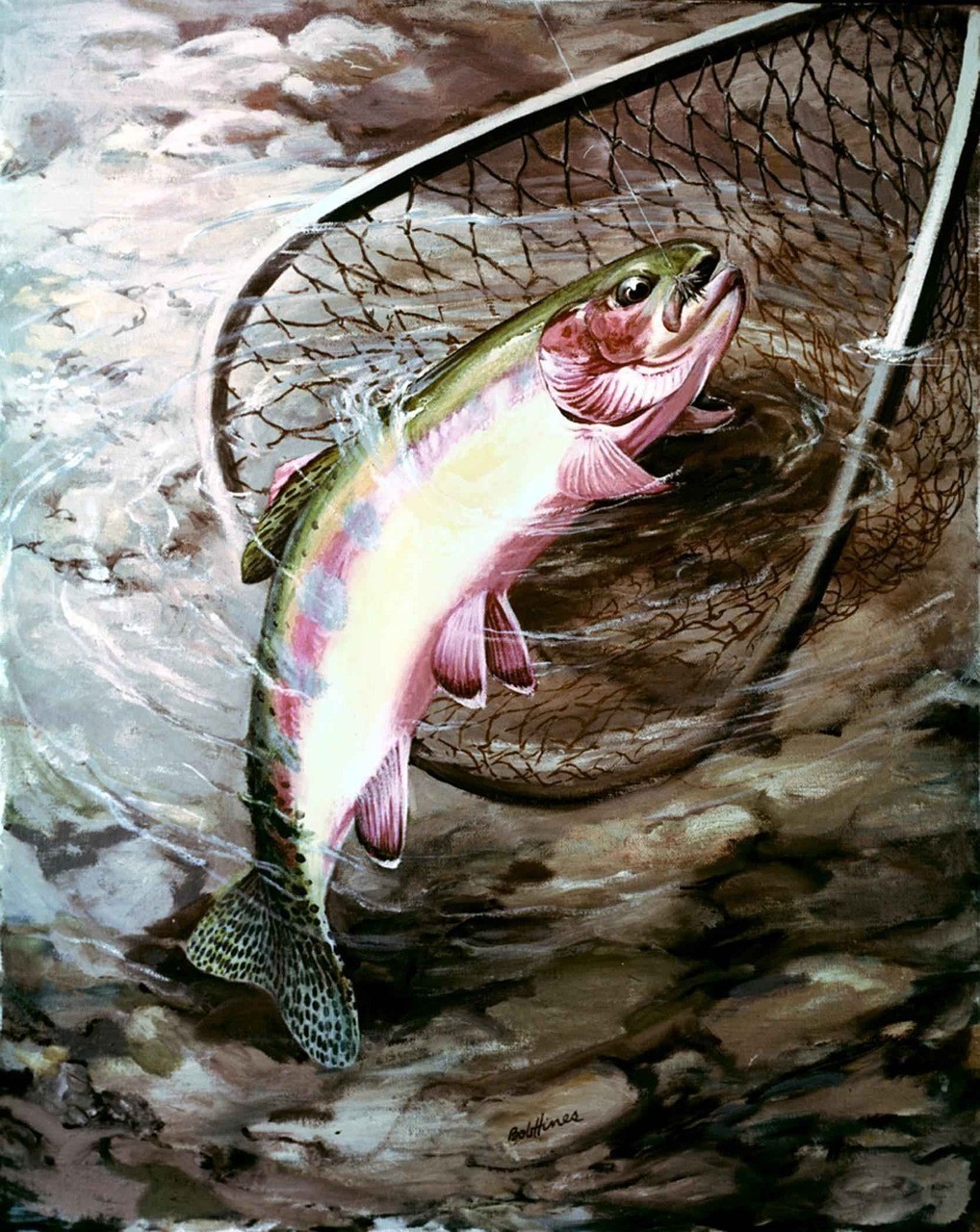 黃金雷龍魚品種大全