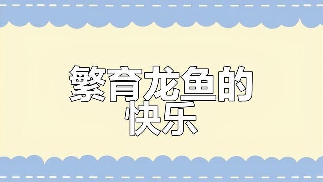 國內龍魚繁殖的成功率有多高？ 國內龍魚繁殖的成功率有多高？ 龍魚百科 第1張
