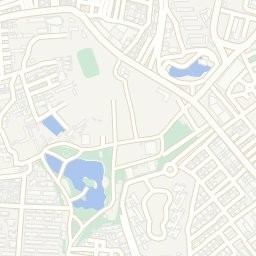 番禺龍魚批發(fā)市場的聯(lián)系方式 番禺龍魚批發(fā)市場的聯(lián)系方式 2025長城杯龍魚大賽 第4張