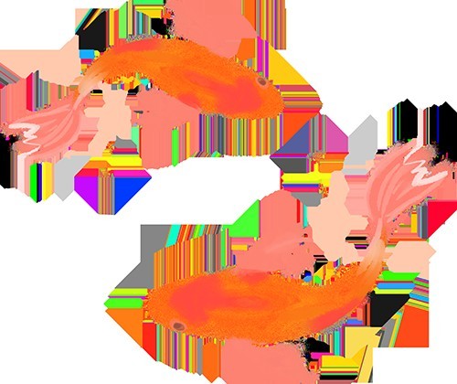 世界金魚錦標賽的冠軍是誰？