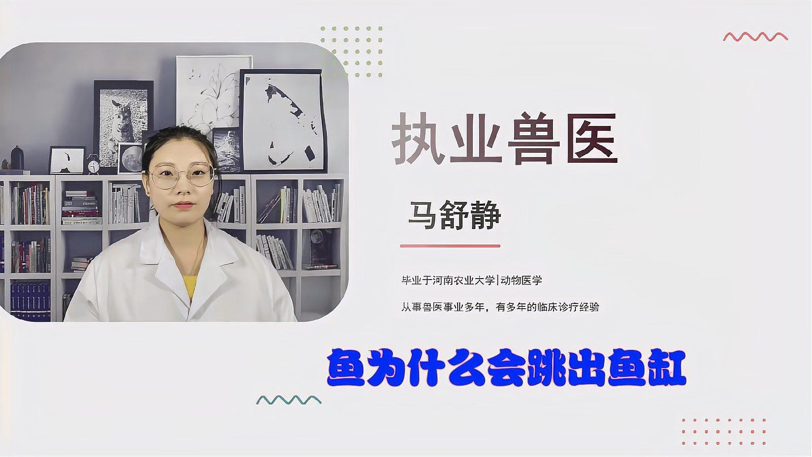 金龍魚跳缸有哪些前兆？