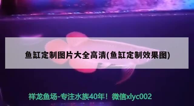 魚缸定制效果圖：魚缸定制效果圖推薦