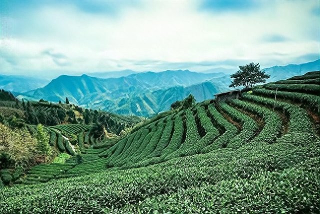 秦皇島長(zhǎng)城杯詩(shī)詞大賽有哪些獲獎(jiǎng)作品 秦皇島長(zhǎng)城杯詩(shī)詞大賽有哪些獲獎(jiǎng)作品 2025長(zhǎng)城杯龍魚(yú)大賽 第4張