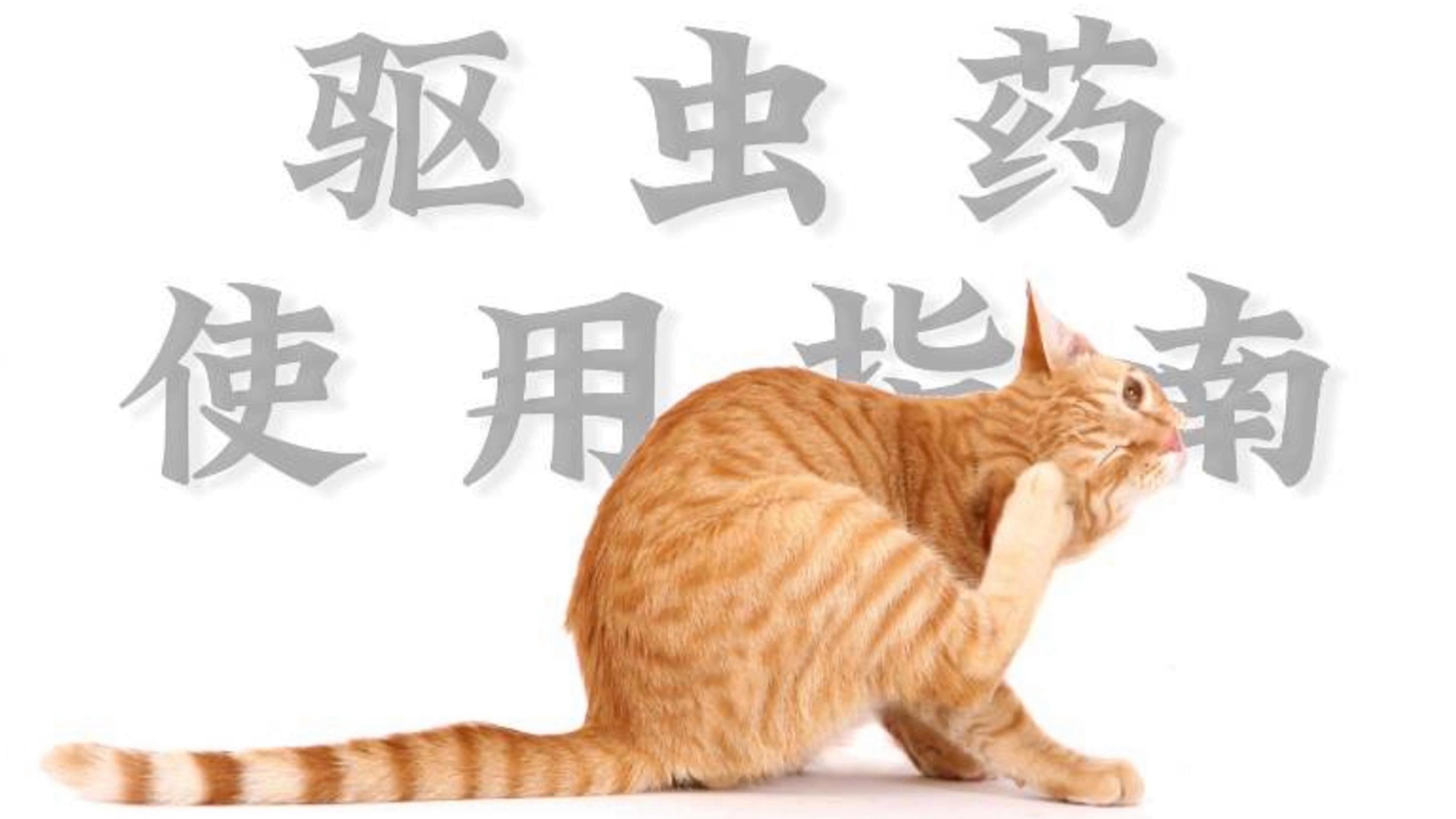 如何安全地使用化學藥物預防寄生蟲？